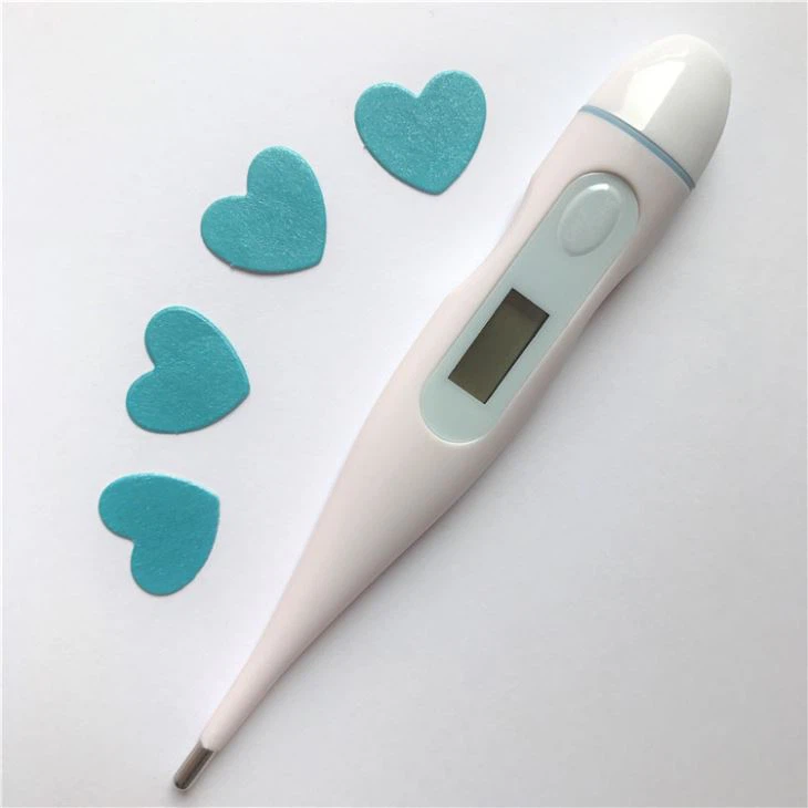 Electronic Thermometer